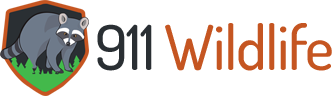911 Wildlife